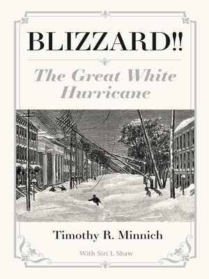 cover image of Blizzard!! the Great White Hurricane